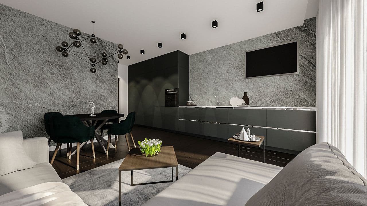 APARTAMENTAI MODERNUS SKALŪNAS - 001.jpg