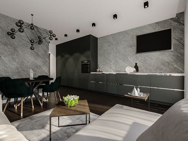 APARTAMENTAI MODERNUS SKALŪNAS - 001.jpg